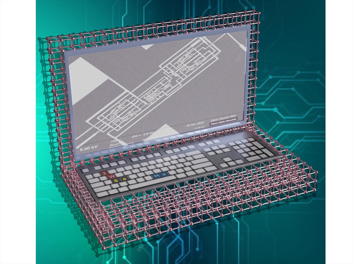 Иллюстрация: Krishnendu Mukhopadhyay  📷
