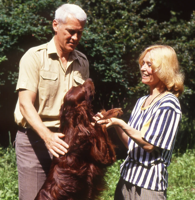 Светлана Светличная и Владимир Ивашов./Фото: Global Look Press