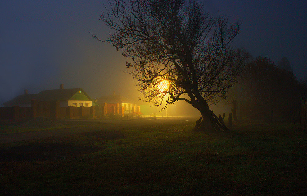 картинка из интернета