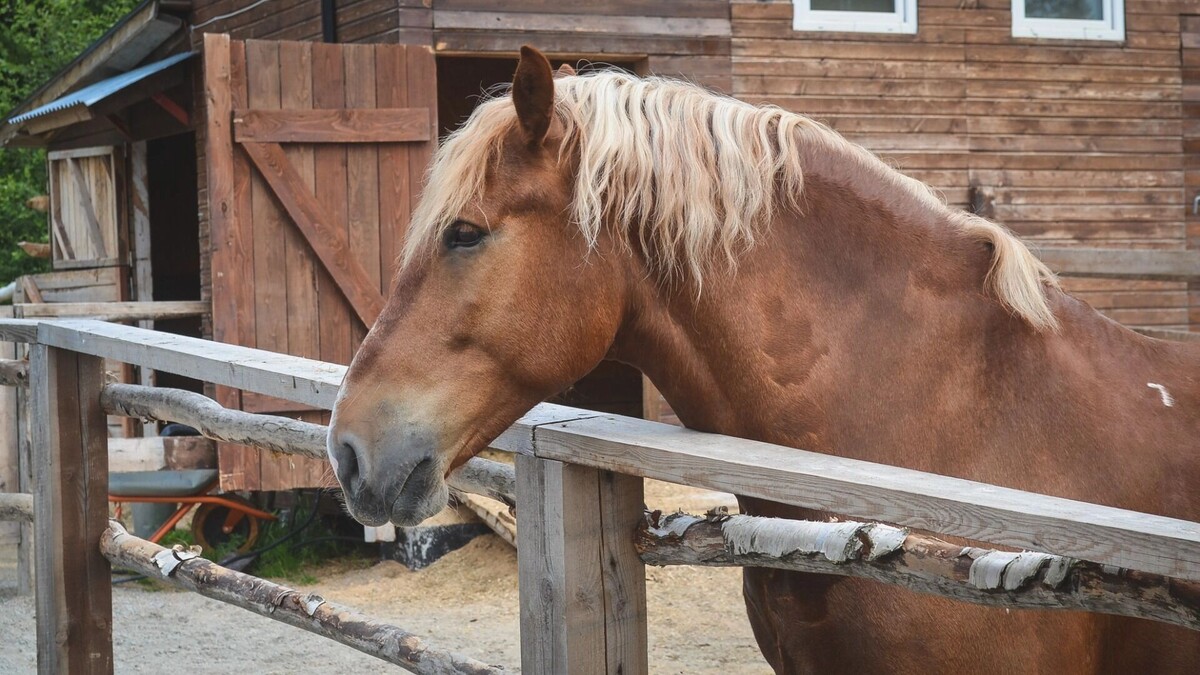     Источник: 1MI