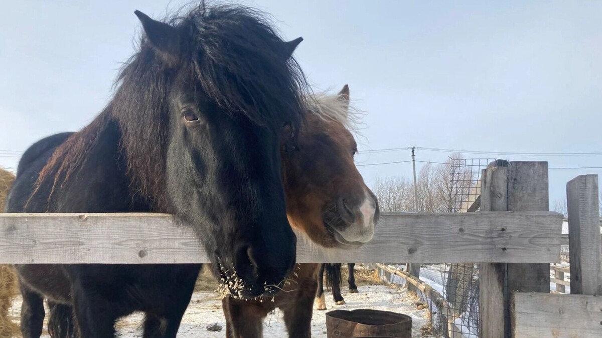     Источник: 1MI