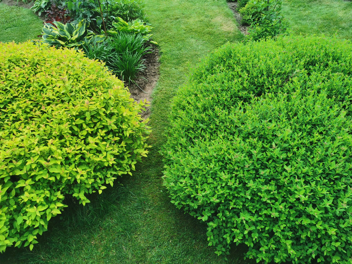 Съели дорожку, осталось 10 см(