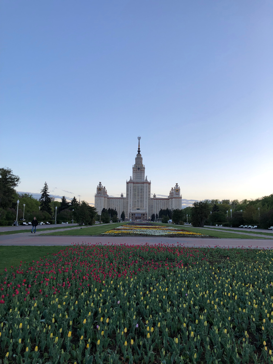 Воробьевы горы. Фото автора.