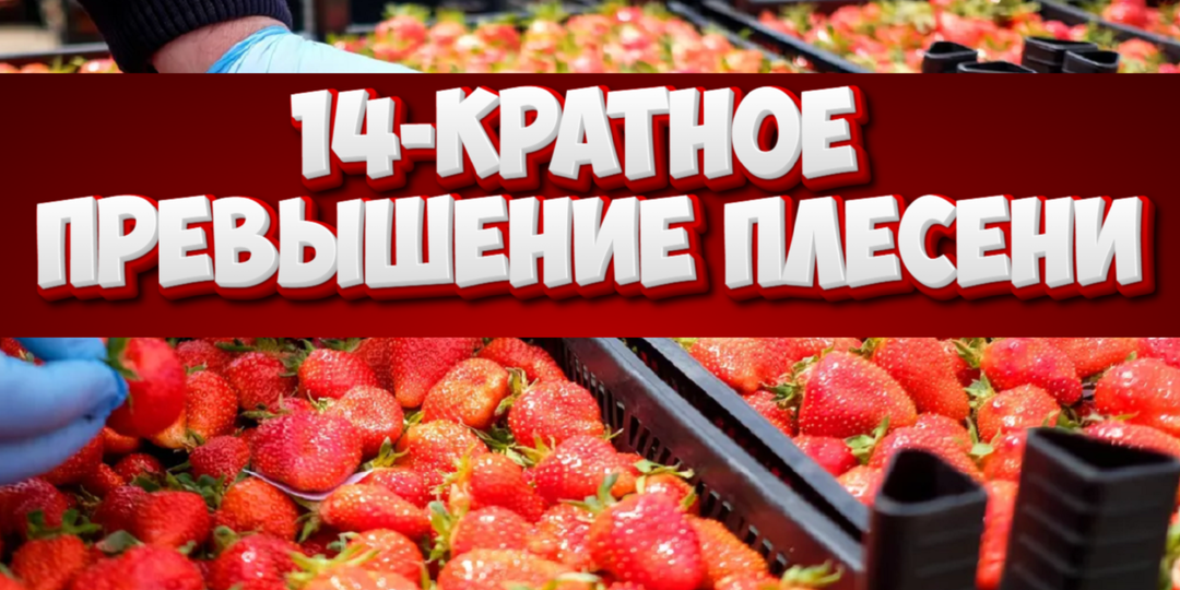 Замороженная клубника из Египта: 14-кратное превышение плесени — чем это грозит и как защититься?