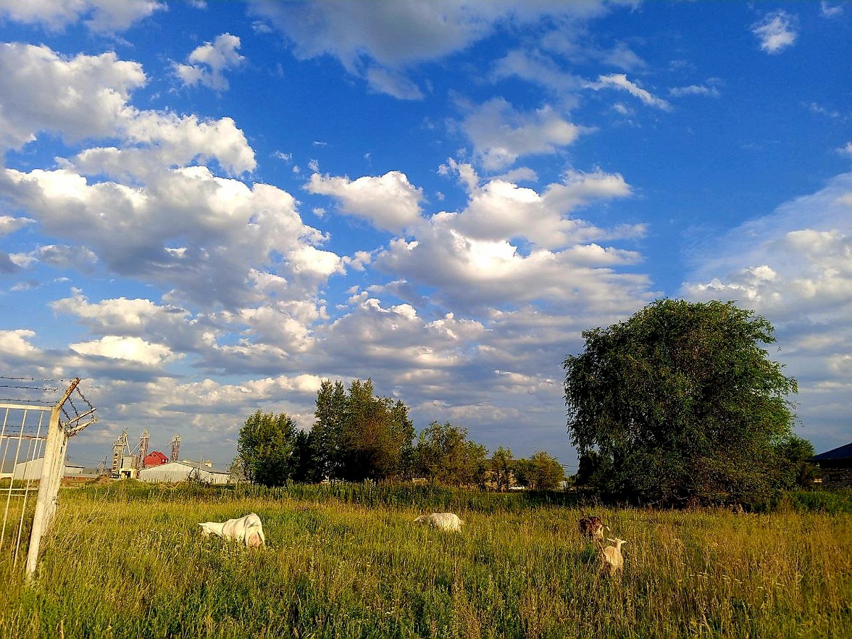 Такое небо было в семь вечера 