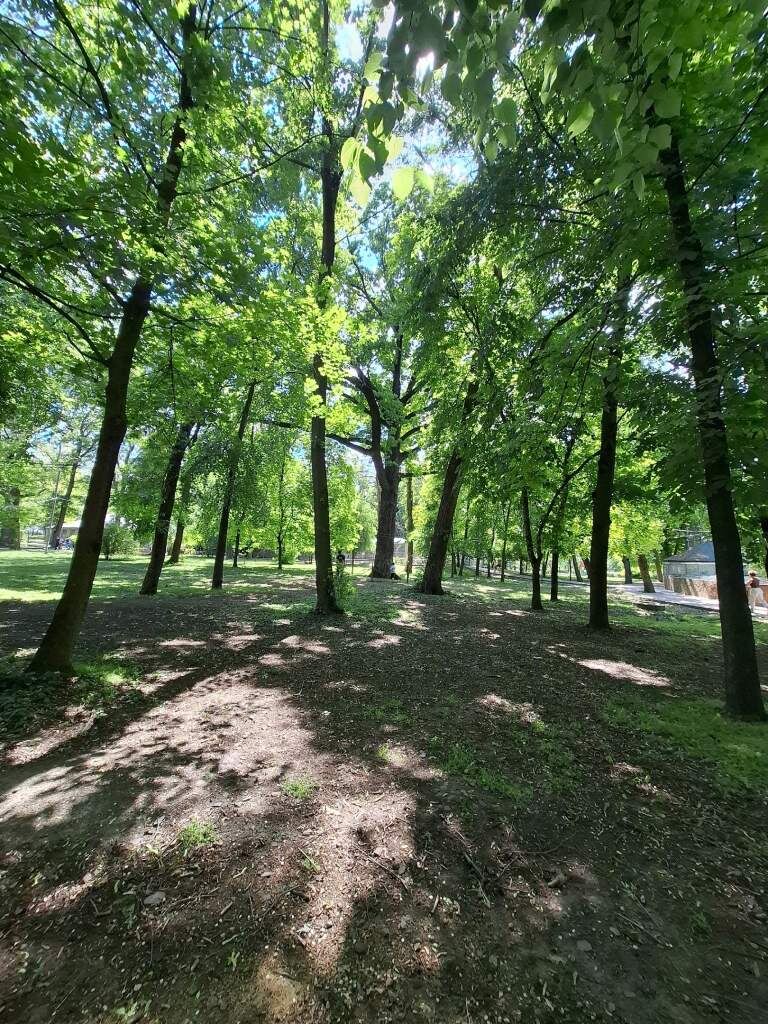    фото "Веселовские вести" Веселовские вести