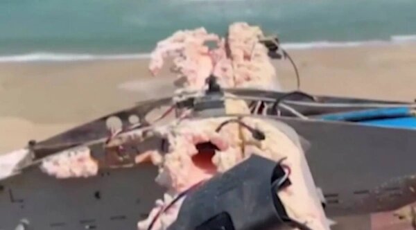 Обложка © Х / Daily Turkic