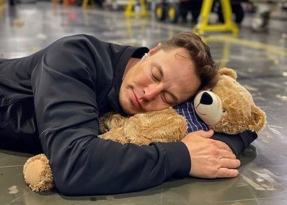 источник фото: интернет