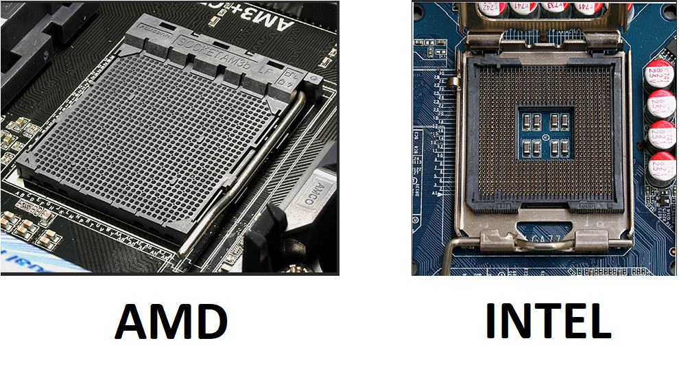 Пример сокета AMD и Intel. 