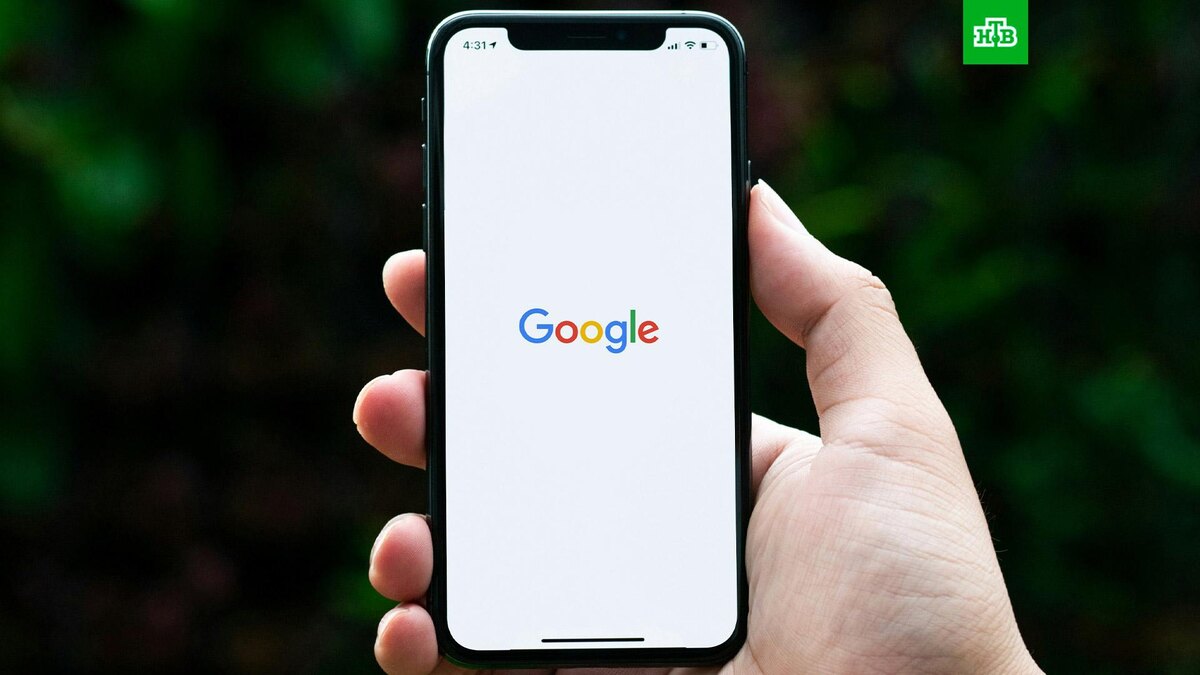    Фото: Shiwa ID / unsplash.com