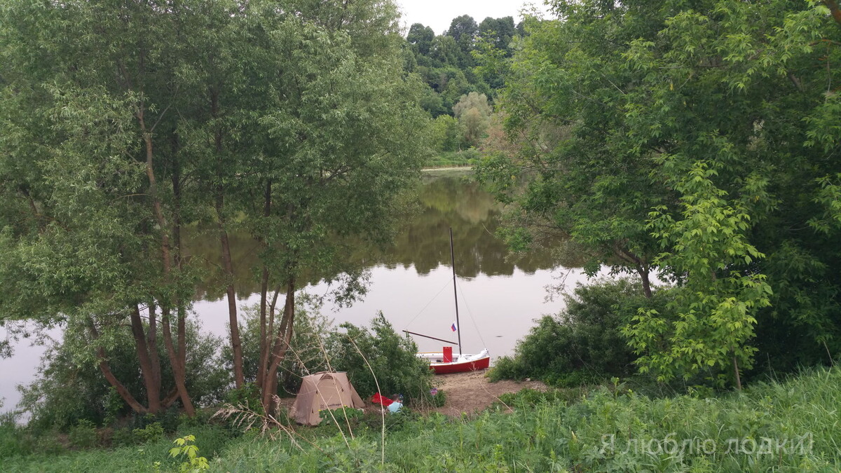 Место стоянки: склон тут высокий - я примерно на его середине. Слева рыдающие крокодиловыми слезами ивы. Вопрос знатокам: какой это вид? Ива ломкая (ракита)?