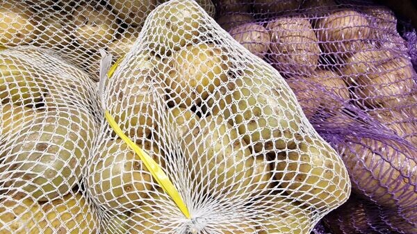    © Sputnik / Александр Жибуль