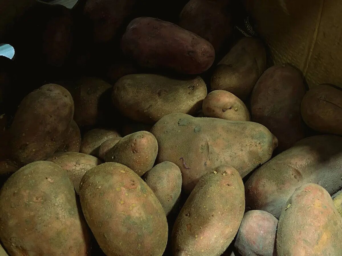    Фото: Мойка78