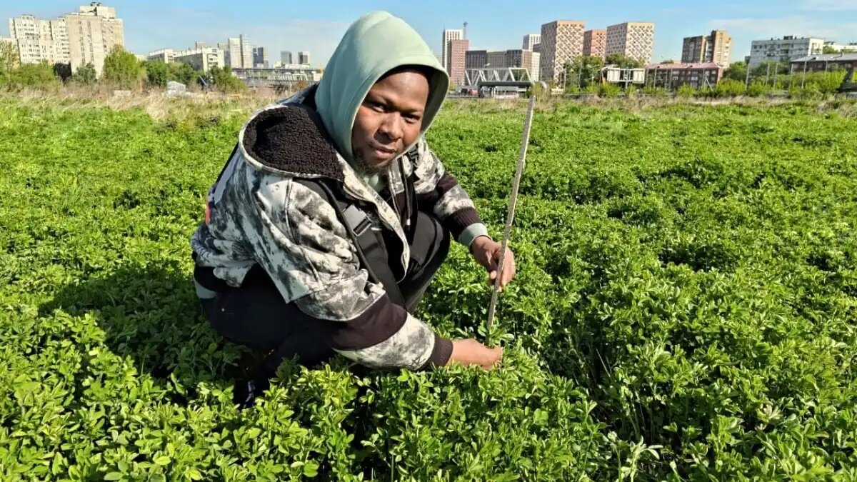 Фото: пресс-служба РГАУ-МСХА им. Тимирязева
Тимирязевка продолжает исследования по созданию высокопродуктивных сенокосных и пастбищных травостоев