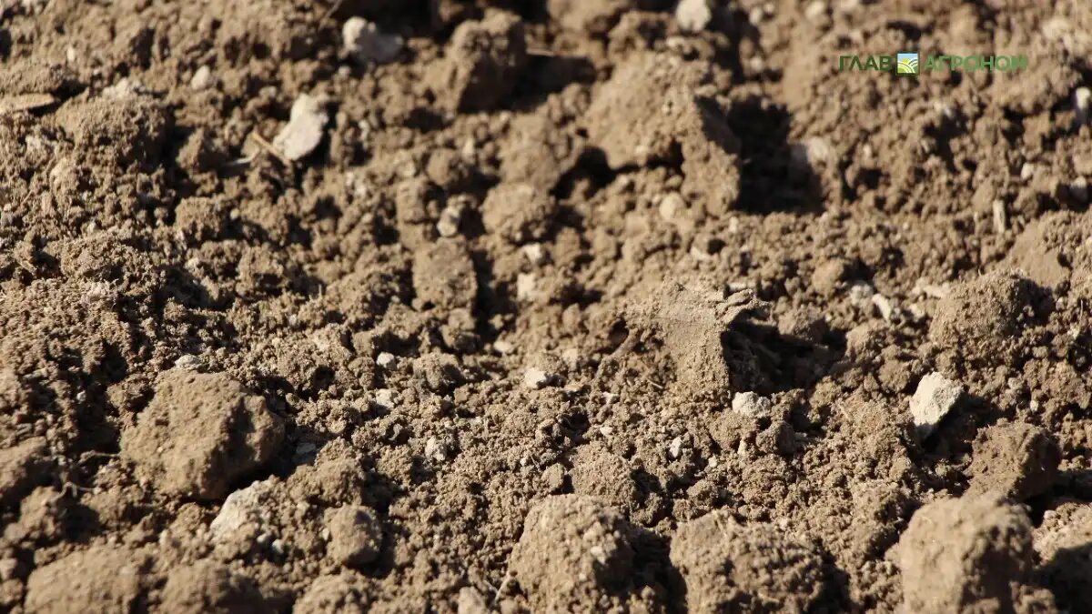 Фото: © Владимир Исаенко / Glavagronom.ru
Установлено, что микропластик в почве мог появиться из-за удобрений