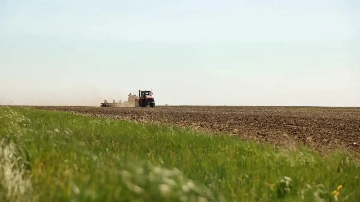 Фото: пресс-служба Правительства Амурской области
На опытном поле ВНИИ сои ведется испытания нового сорта