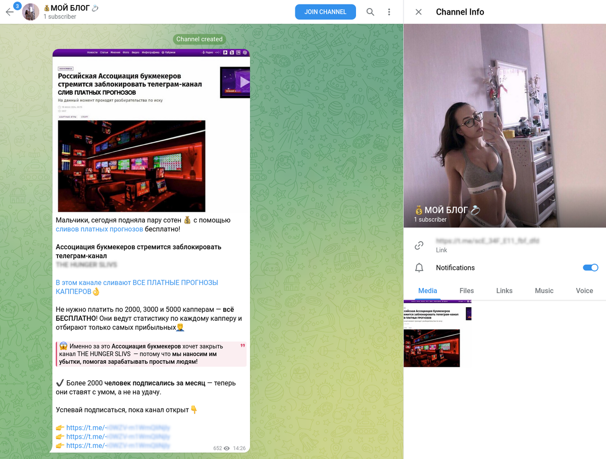 Типичный блог успешной инвесторши