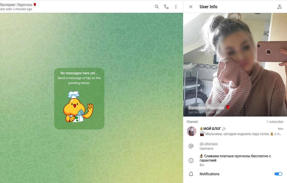 Типовой аккаунт в телеграм