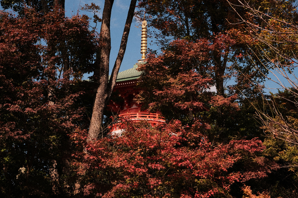  Храм Нёйриндзи, Огори, Япония.