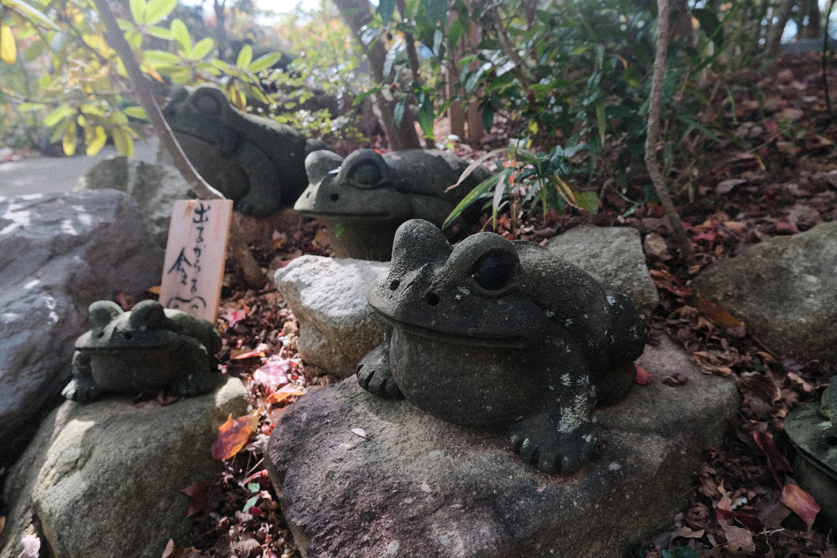 Статуи лягушек в Храме Нёйриндзи, Огори, Япония.