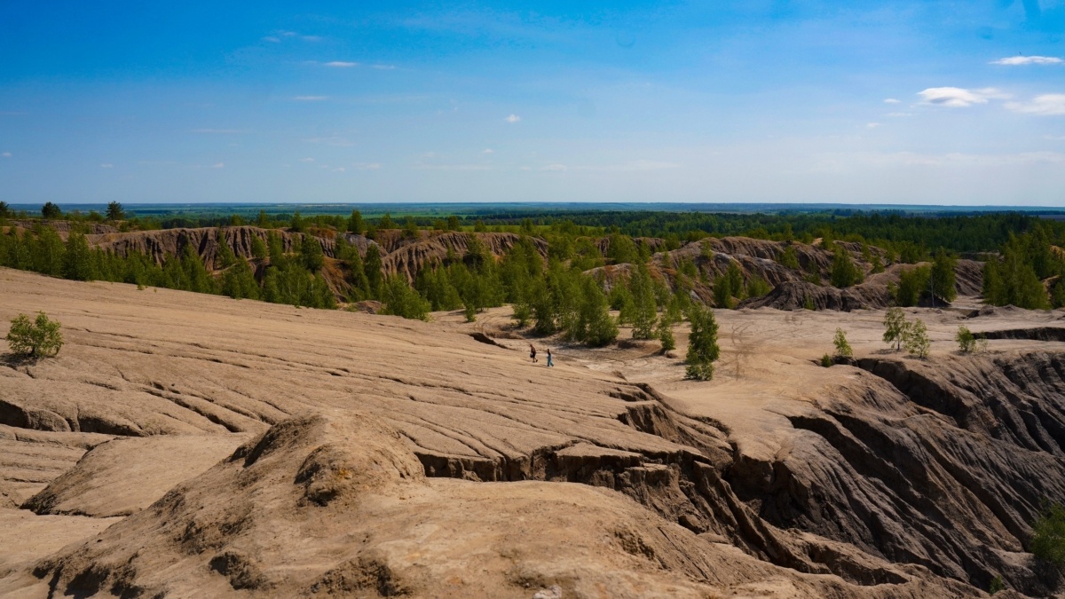 Светлана Мулыкина📷
