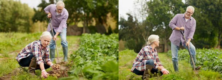 Умеренные нагрузки на даче помогают поддерживать организм в тонусе и улучшают самочувствие