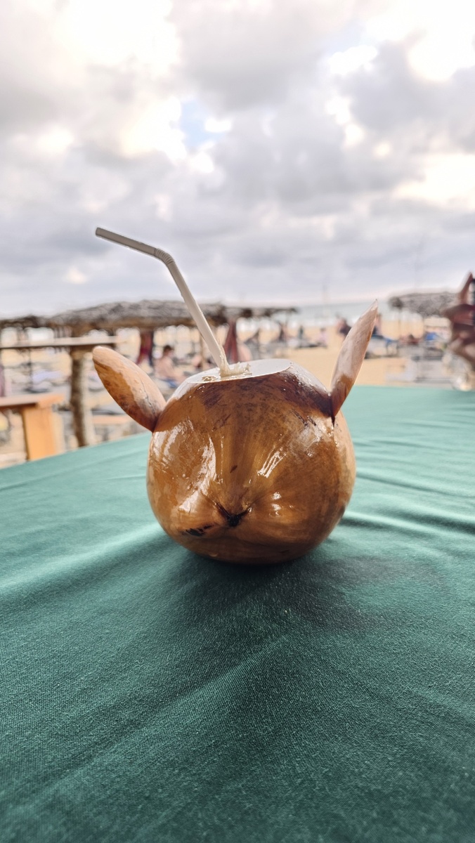 Российские кокосы выглядят не так. Нам сказали, что у них такие, как наши, используют лишь на корм скотине))) Шутка))