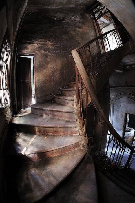 Картинка из общего доступа. 