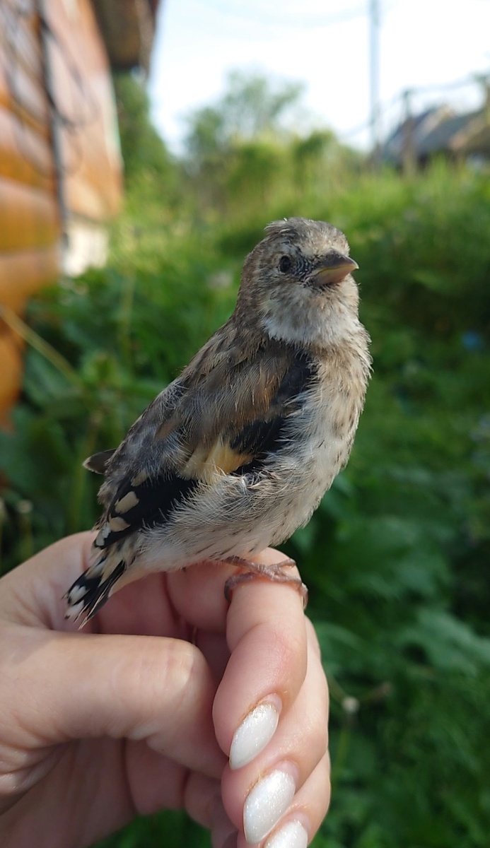 Утром выходим распеваться