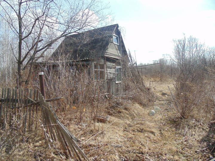    Фото:Светлана Калинина