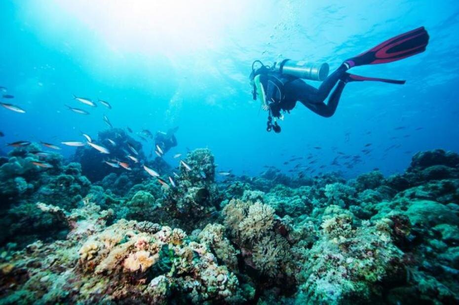    Shutterstock/FOTODOM