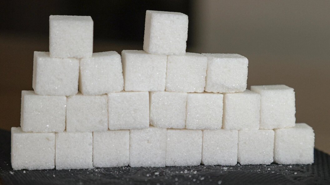    Фото: Bulkin Sergey/news.ru/Globallookpress