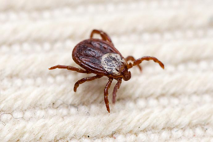    Фото из архива VN.ru