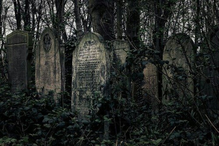 Картинка из интернета 