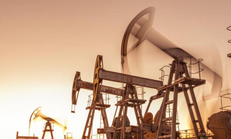    Shutterstock/FOTODOM