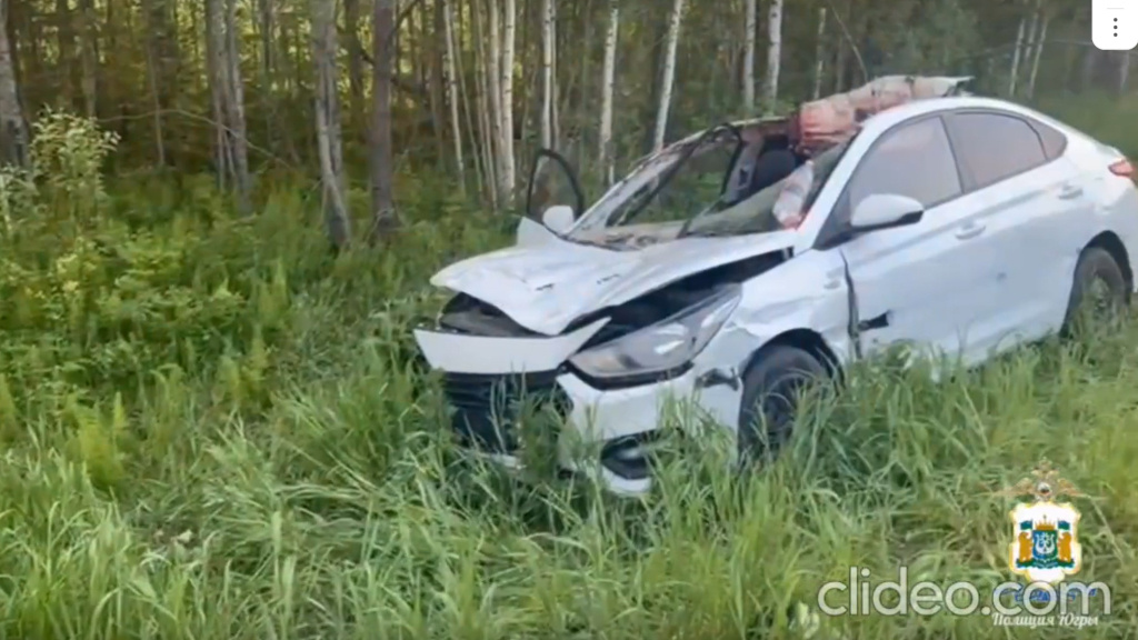    В Югре в ДТП с лосем погибла пассажир легкового автомобиля