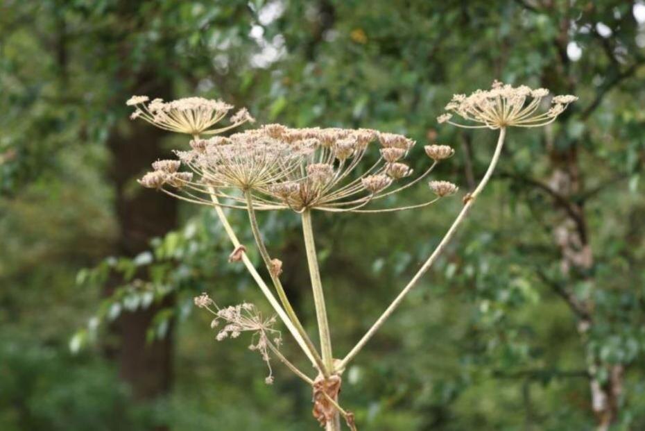    Сергей Петров/NEWS.ru