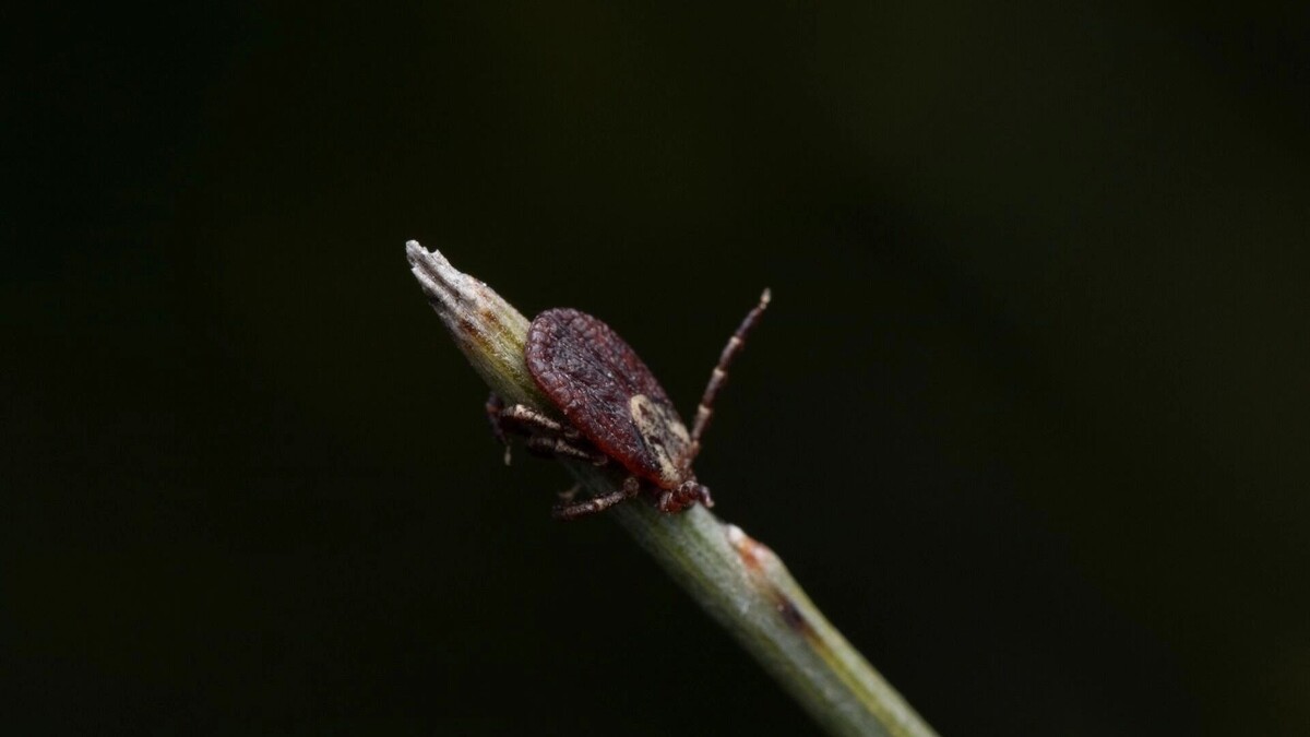     Источник: freepik.com