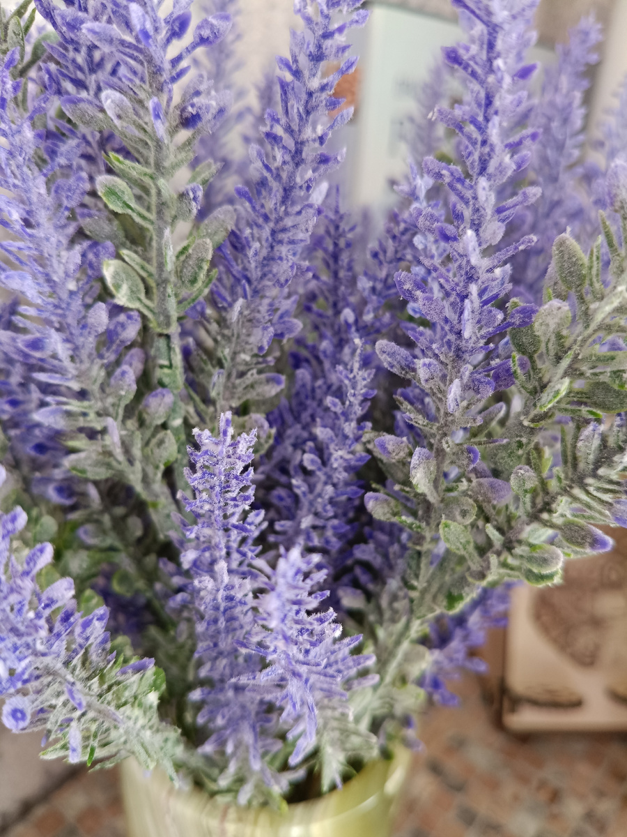 Просто фото