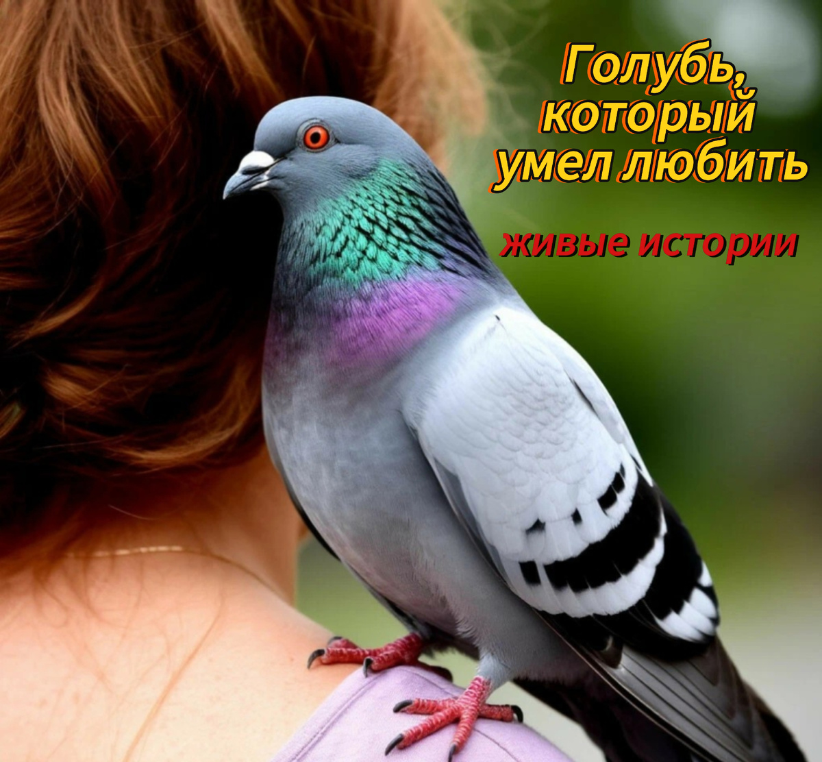 История из жизни