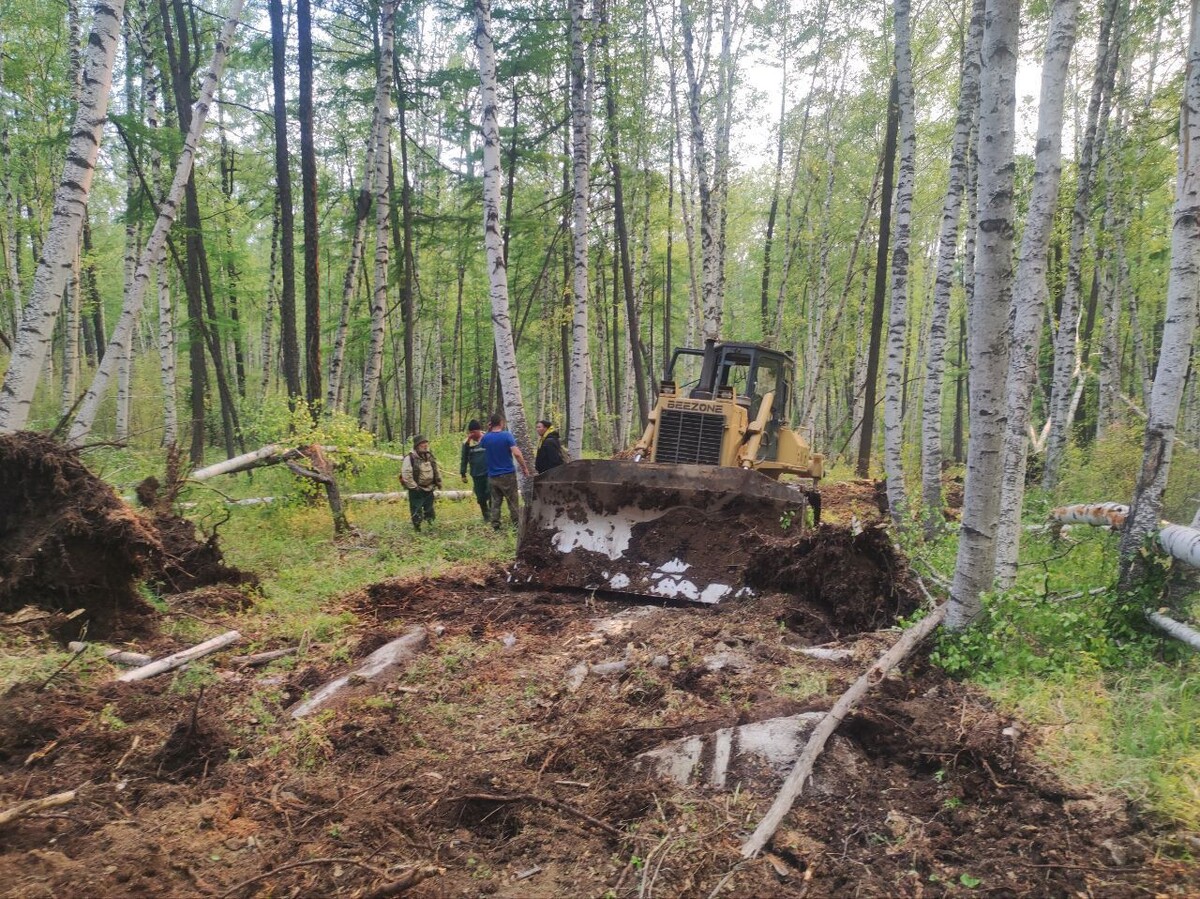    Фото: Пресс-служба Минприроды Забайкалья