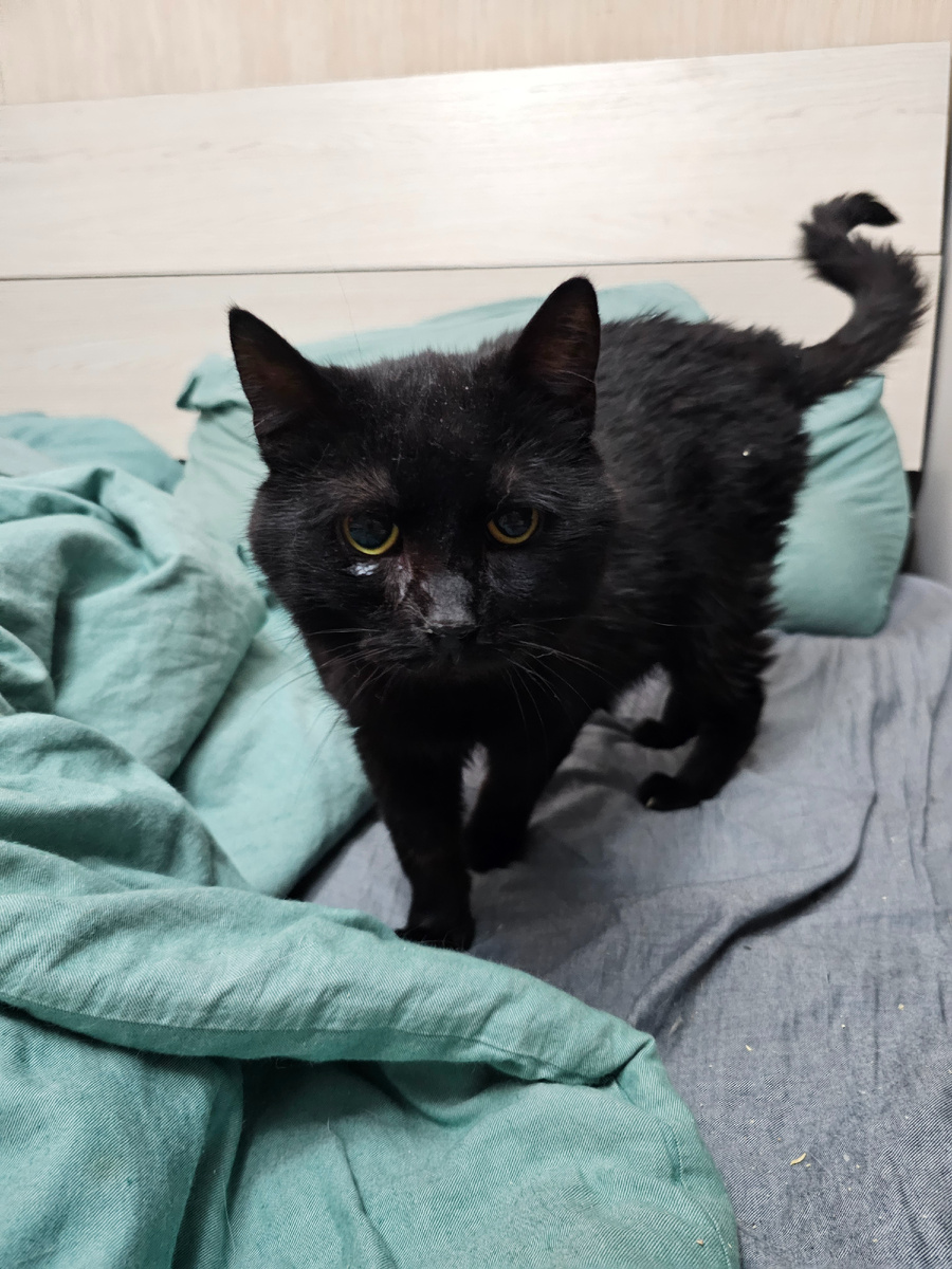 Фото автора. Русик болеющий фип.