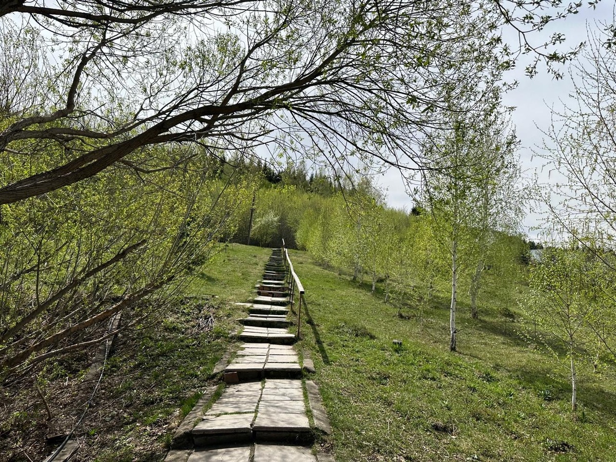 Фото автора.