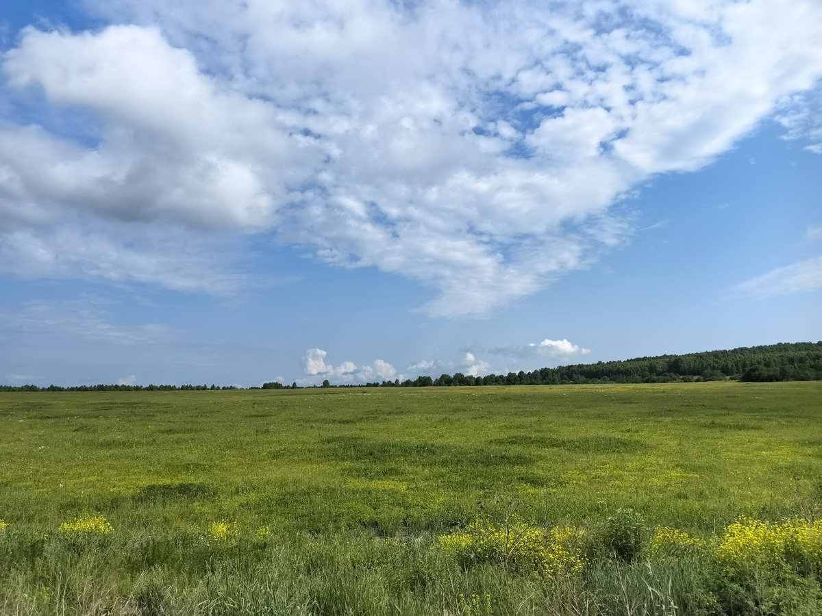 Мечта китайцев.