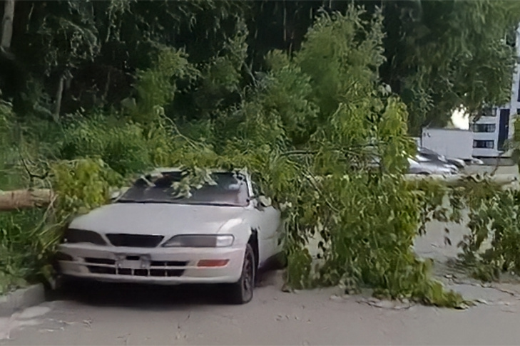    Фото газета "Краснообск"