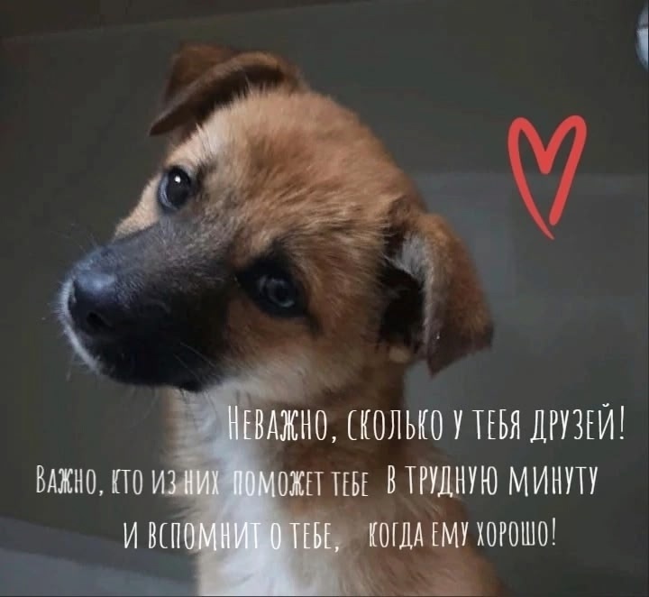 Маленькая Капелька с большим сердцем и отважным характером