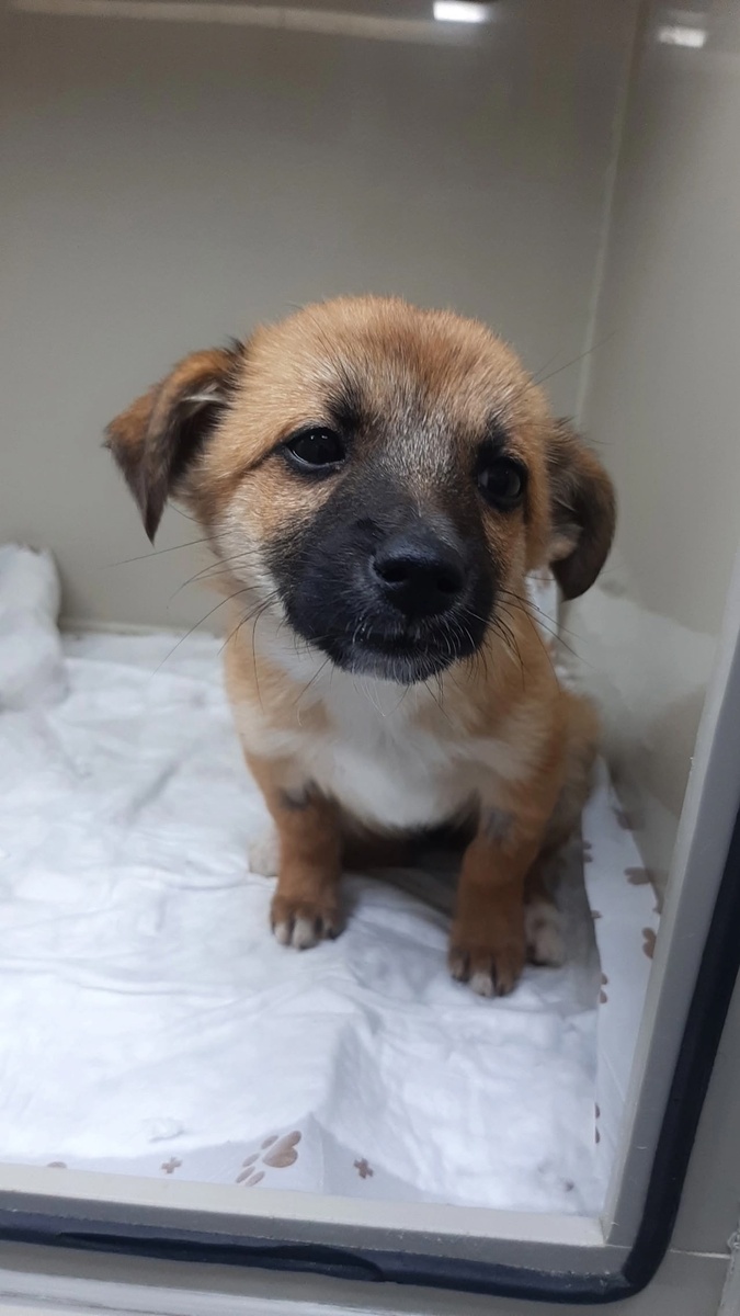 Капелька в стационаре