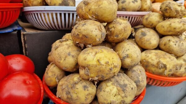    © Sputnik / Александр Жибуль