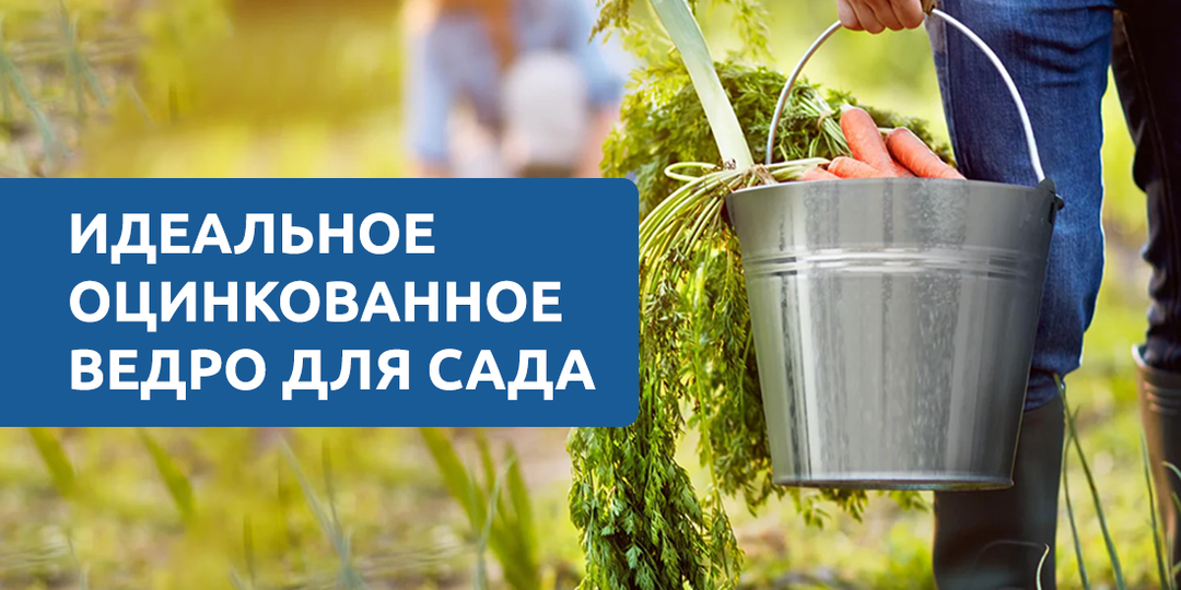 Как выбрать идеальное оцинкованное ведро для сада-огорода