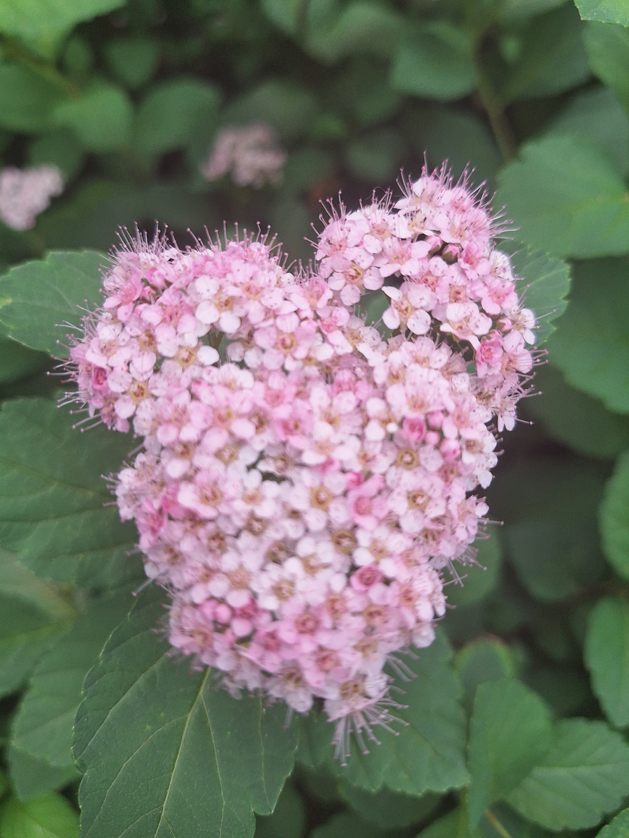 Фотоколлаж - собственность автора канала.